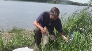 ЛОВЛЯ ЛЕЩА на САЛО! Рыбалка на донки на ОКЕ!