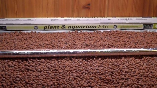 Aquaponics 2 - L2Survive With Thatnub