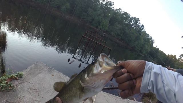 Bass Fishing In Atlanta Georgia: Arabia Mountain смотреть онлайн