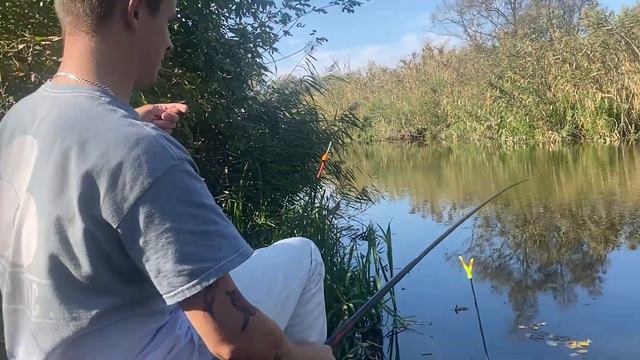 РЫБАЛКА В БЕЛГОРОДЕ! река СЕВЕРСКИЙ ДОНЕЦ! КАК ПОЙМАТЬ И НАЖАРИТЬ МНОГО УКЛЕЙКИ! смотреть онлайн