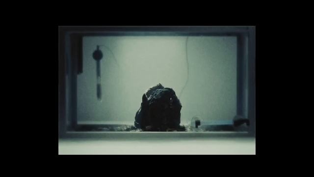 ALIEN ROMULUS Trailer (2024) Hulu Concept