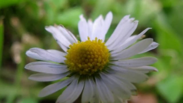 my photos on canon PowerShot S3 is смотреть онлайн
