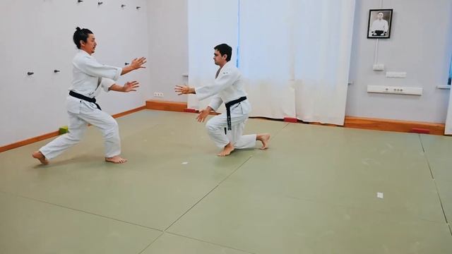 Kata mochi nikajo osae 1 смотреть онлайн