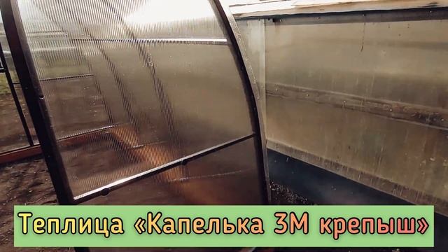 КАПЕЛЬКА КРЕПЫШ. ТЕПЛИЦЫ КАПИТАЛЬНЫЕ, КАПЛЕВИДНАЯ ФОРМА смотреть онлайн