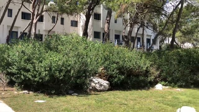 Закрытый отель Club Med в Кемере.Что с ним случилось?#кемер #турция #отелитурции смотреть онлайн