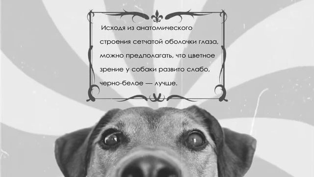 А знаете ли вы?