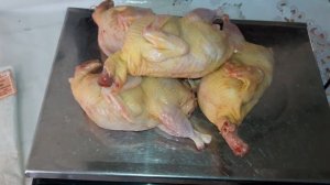 ОДИН кг МЯСО?ПЕРЕПЕЛОВ это сколько?? ПЕРЕПЕЛ Альбинос техасский стандарт самый крупный из мясных.