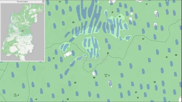 Топографическая карта Нижегородской области для OziExplorer смотреть онлайн