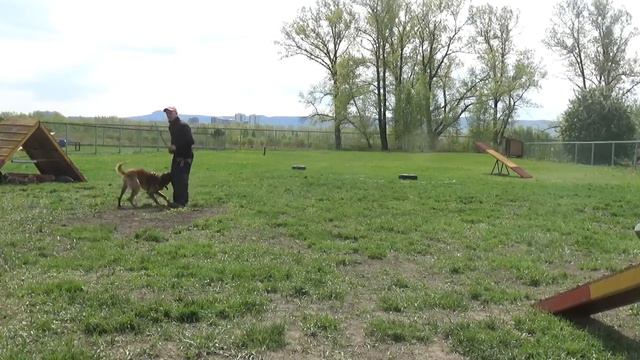 Колясик 27.05.18 смотреть онлайн