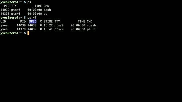Qu'est-ce que le shell Linux et Unix ? смотреть онлайн