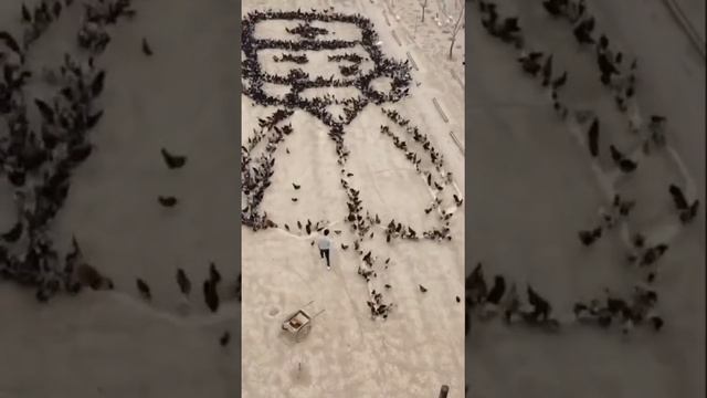 How tremondous the pattrn is with so many chickens! смотреть онлайн