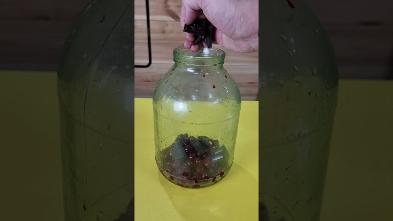 Настойка: Вишня в шоке #колба #вишнёвая #шоколадная смотреть онлайн