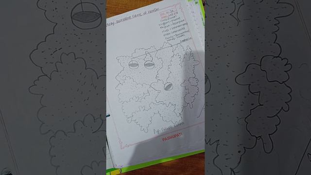 foliose lichen #biology смотреть онлайн