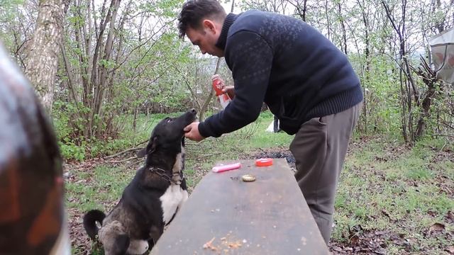 Крапива+Сванури Марили. смотреть онлайн