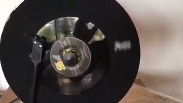 Susie Darlin’ - Robin Luke смотреть онлайн