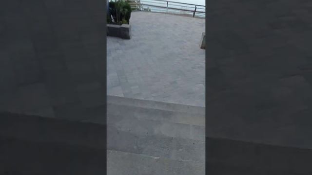 утро 05.06.2022. Имение Харакс и пляж. смотреть онлайн