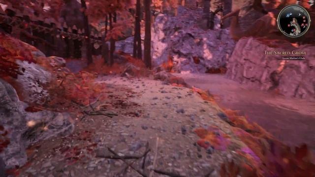 Find a way to open the glade of Mathan: The Sacred Grove (Bard's tale 4) смотреть онлайн