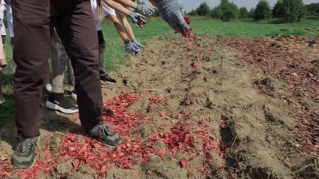 22 августа – День Государственного флага Российской Федерации смотреть онлайн