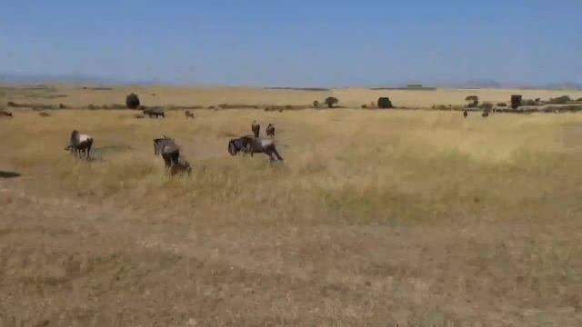 Озерные приключения с соседями