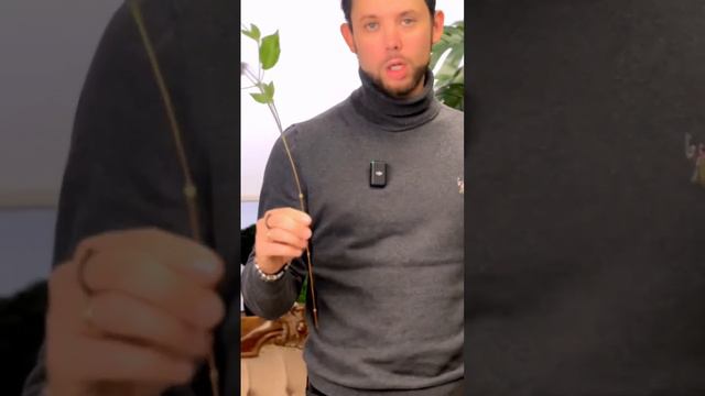 🔥 Для фактуры и ассиметричных линий в букете! #флористика смотреть онлайн