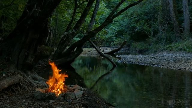 Посадка огурцов в открытый грунт семенами