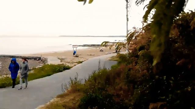 Таганрог. Красивая осень рядом с морем. смотреть онлайн