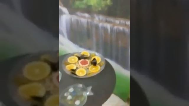 Экзотические бабочки вживую. смотреть онлайн