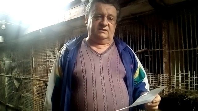 Как нас обманывают,или скорее ДУРЯТ на рынке смотреть онлайн