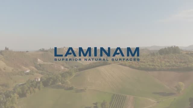Laminam Evolution