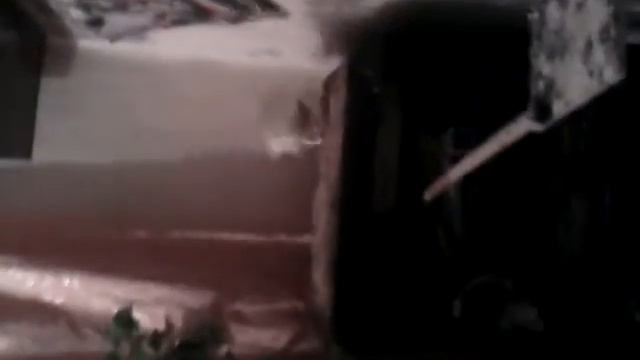 жестокий прикол с голубемь