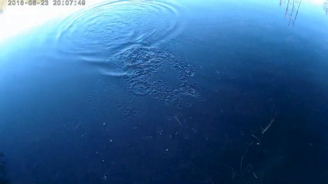 Курагинский район отдых смотреть онлайн