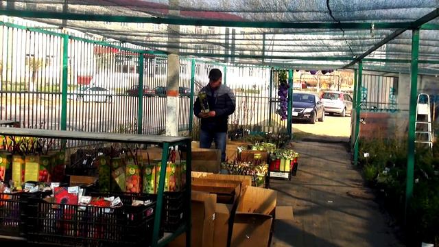 Открыт сезон в Садовом центре «Усадьба Фермера» в г.Лиски, ул Трудовые Резервы, 7 смотреть онлайн