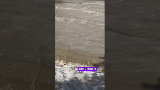 СОВСЕМ КАК В ЖИЗНИ... смотреть онлайн