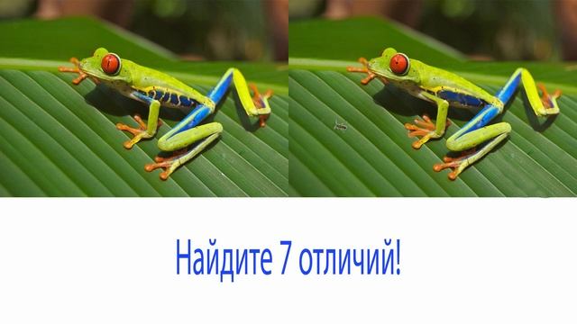 Найди отличия! Игры для детей!