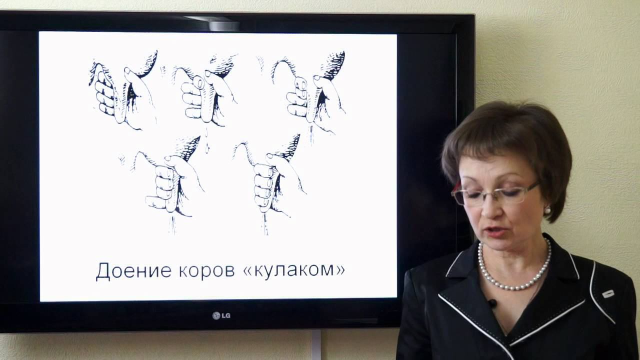 Козина Е.А. История технологий отраслей животноводства (Часть 1) смотреть онлайн