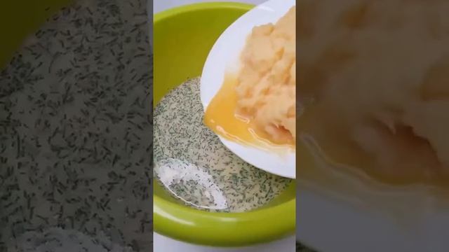 Котенштейн