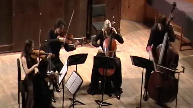 Дворжак. Квинтет соль мажор, соч. 77, часть 1 смотреть онлайн