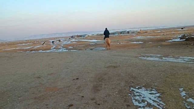 На монгольской лошадке в Монголии. 8 Ноября 22 г. смотреть онлайн
