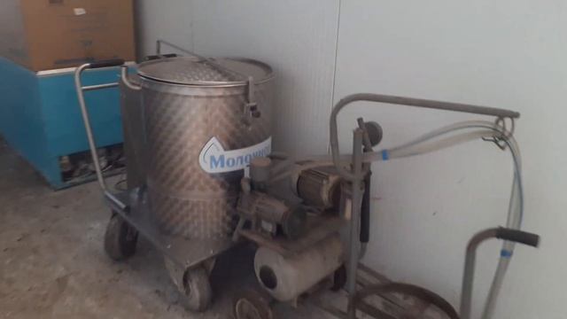 профессия скотник :чистка ,посыпание,КУПОРОСНЫЕ ВАННЫ ДЛЯ КОРОВ смотреть онлайн