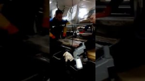 Охотское море ,промысел Наваги работа в цеху