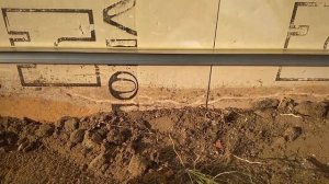 Едят ли муравьи пеноплекс?