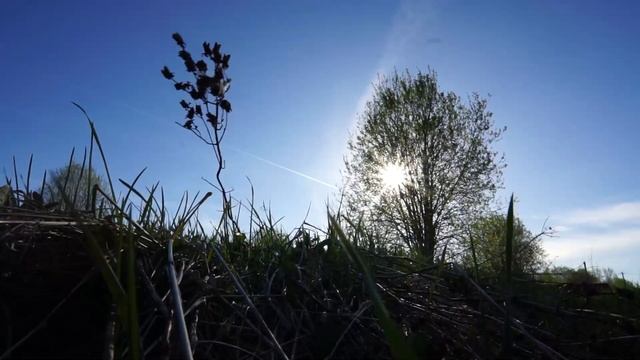 Участок 18 соток ИЖС в д. Каргалозы смотреть онлайн