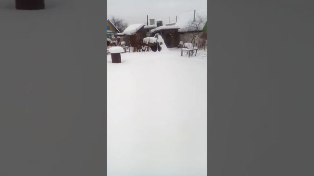 Дача 15 января 2019