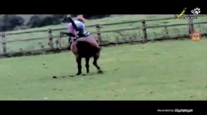 Риск конного спорта! Самые ОПАСНЫЕ И ЖЕСТКИЕ падения с лошадей?