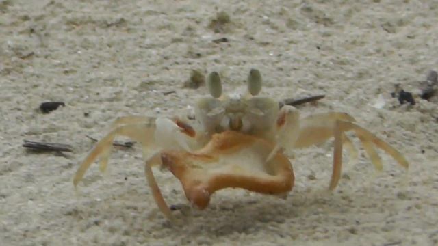 Пляж Чай Чет на Ко Чанге в Тайланде (Chai Chet Beach)