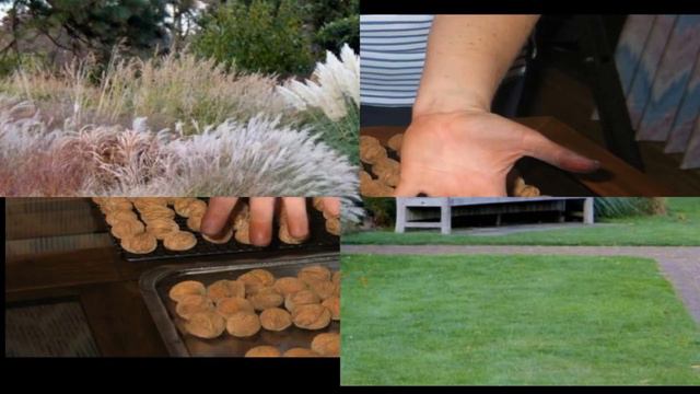 SEASONS OF LIFE -  Original