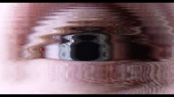 Trans mission Kokoteev Shadrinsk music