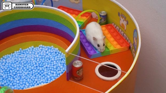 Hamster Colorful DIY Pop It Maze | Obstacle Course | Giant Fanta Cardboard Maze @hamstercardboard