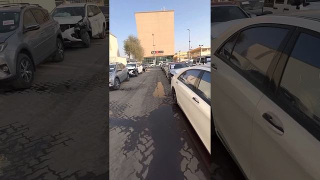 РЕАЛЬНЫЕ ЦЕНЫ НА АВТО В ДУБАЕ !!! DUBAI AUCTION 2023 #dubai #dubai2023 #аукцион #camry #moscow смотреть онлайн