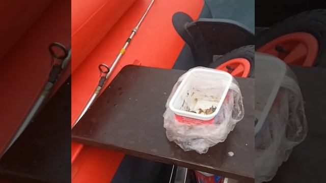 Ловим камбалу в Приморье  рыбалка на спиннинг